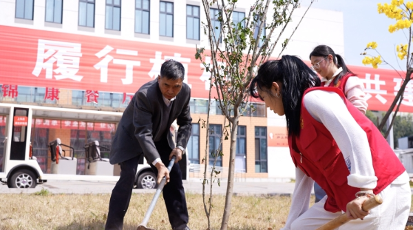 植树3