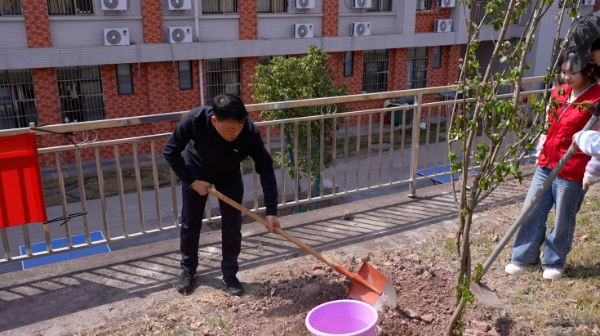 植树6